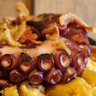 Pata De Pulpo