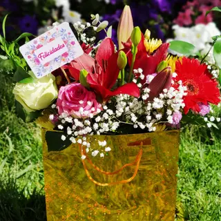 BOLSA JARDINERA