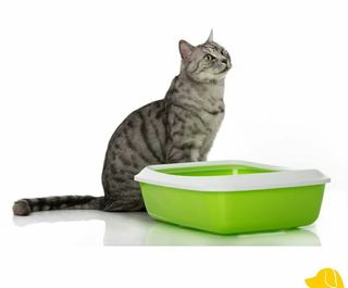 Лоток для кошек