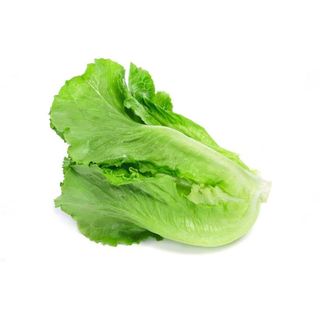 Lechuga Unidad