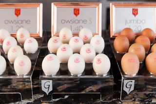 Jajka Owsiane G ® 12 Szt