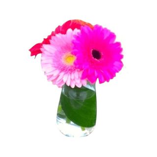 Jarra de Vidro com Gerberas