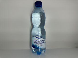 Мінеральна вода Карпатська джерельна сильногазована  (500мл)