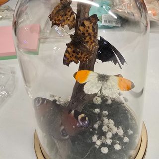 Аранжировка "Пеперуди"