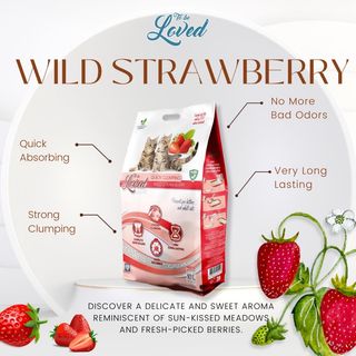 Litière To be Loved Fraise 10Kg