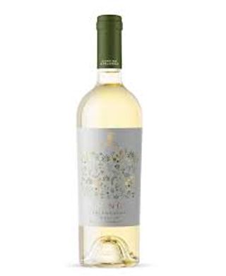 Ninu' Falanghina Cantina Spelonga