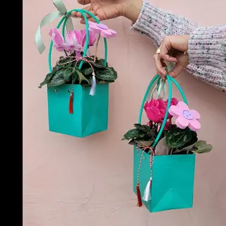 Cyclamen martisor