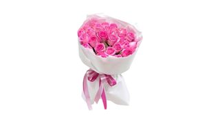 Pink Blush Roses