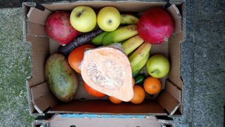 Lote fruta y verdura ecologicas