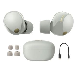 Sony WF-1000XM5 Noise Cancelling Earbuds, Gray