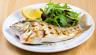 Grilled Snapper Fillet