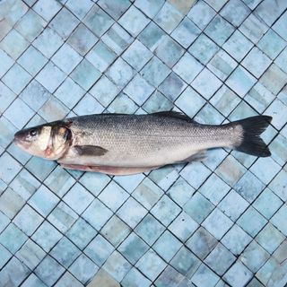 Branzino Liguria pulito e squamato