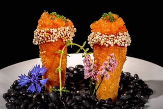 016A  Crispy cono salmon fantasy 2 pezzi