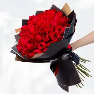 40roses rouges love