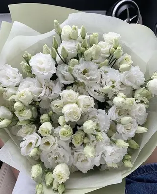 თეთრი ეუსტომების დიდი თაიგული
