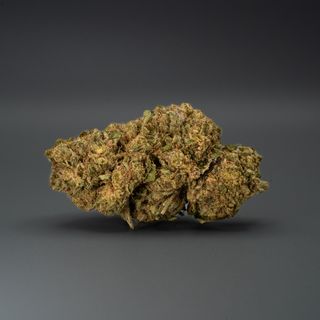 Flor Biscotti CBD 22% - 10G