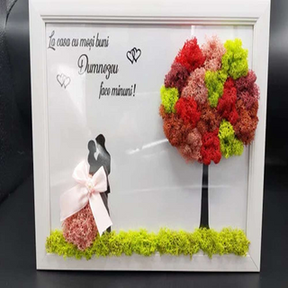 Tablou cu licheni Mosi - 20x30