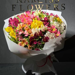 Мікс Альстро