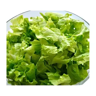 Zelena salata
