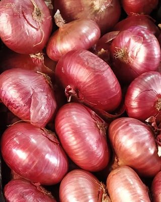 Cebolla Roja Extra 600 Gr