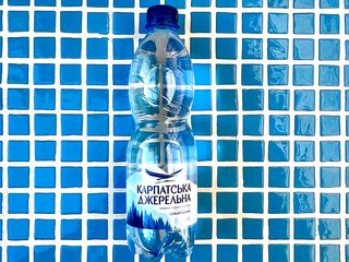 Карпатська джерельна 0.5л сильногазована (0.5l)