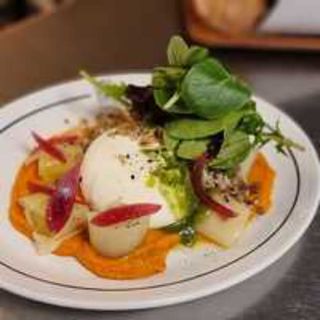 burrata