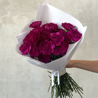 Ramo de 20 claveles burdeos
