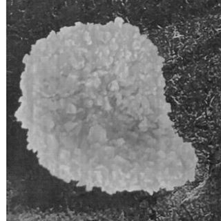 Chicken chips 6 pezzi