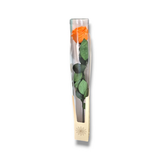 Rosa eterna naranja 