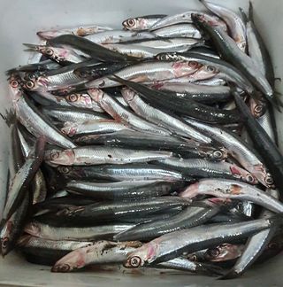 Пържен гаврос-(300гр.)