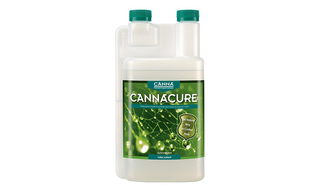 CANNACURE 1 ლ