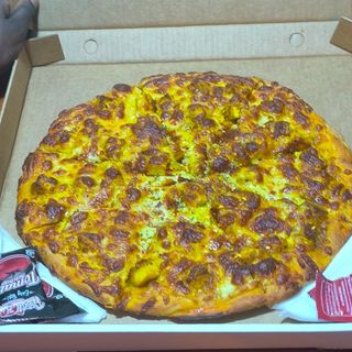 PANEER TIKKA  MEDIUM