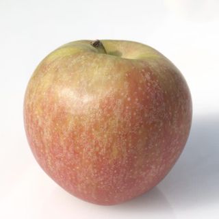 Jabłko "boskoop" Pl 0,25kg