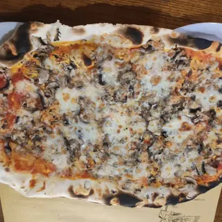 funghi