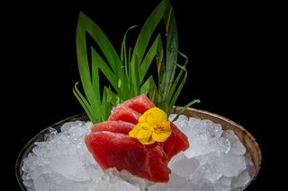 Sashimi De Atún (8 Uds.)
