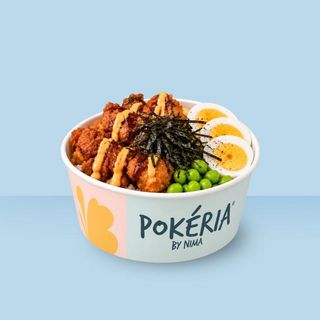 Donburi Karaage