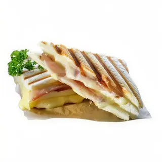 Sándwich Especial