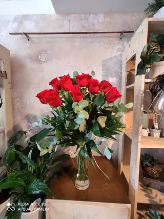 12 ROSAS ROJAS
