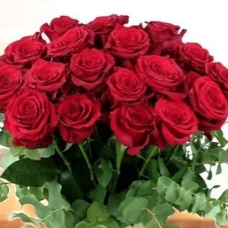 Bouquet 5 Rose rosse