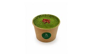 Tiramisù al matcha