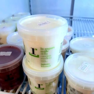 Yogurt naturale 125 g