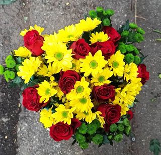 giallo