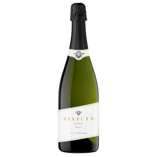 Selecta Cava Brut (servita la rece)