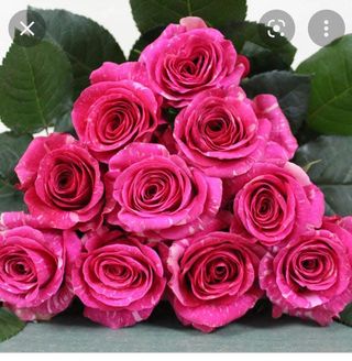 Bouquet rose Fucsia