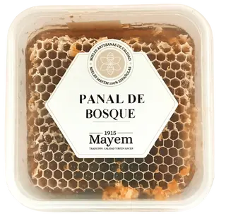 Panal de Miel de Bosque