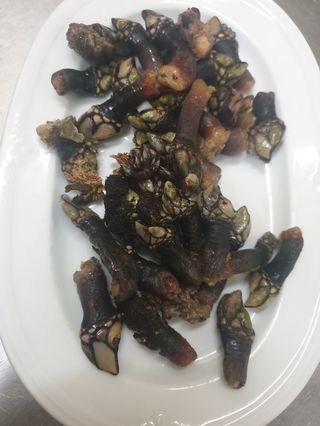 Percebes gallego 