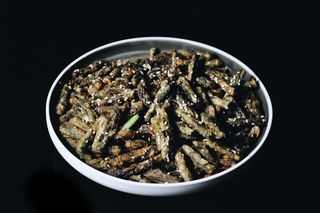 სატაცური სოიოს სოუში/მშრალად , C18