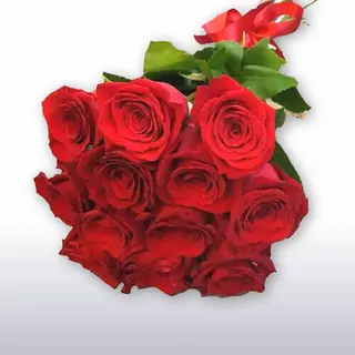 12 Rose rosse cm 50 locali