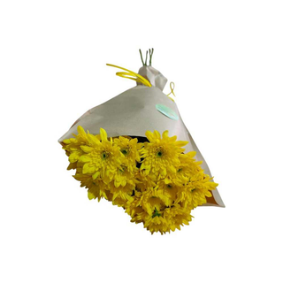 Margaridas Amarelas