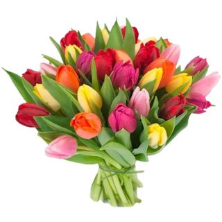 RAMO 25 TULIPANES MAMÁ 3264